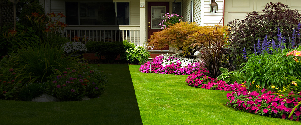 Laurens Landscapers