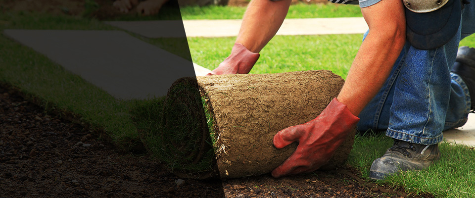 Laurens Landscapers